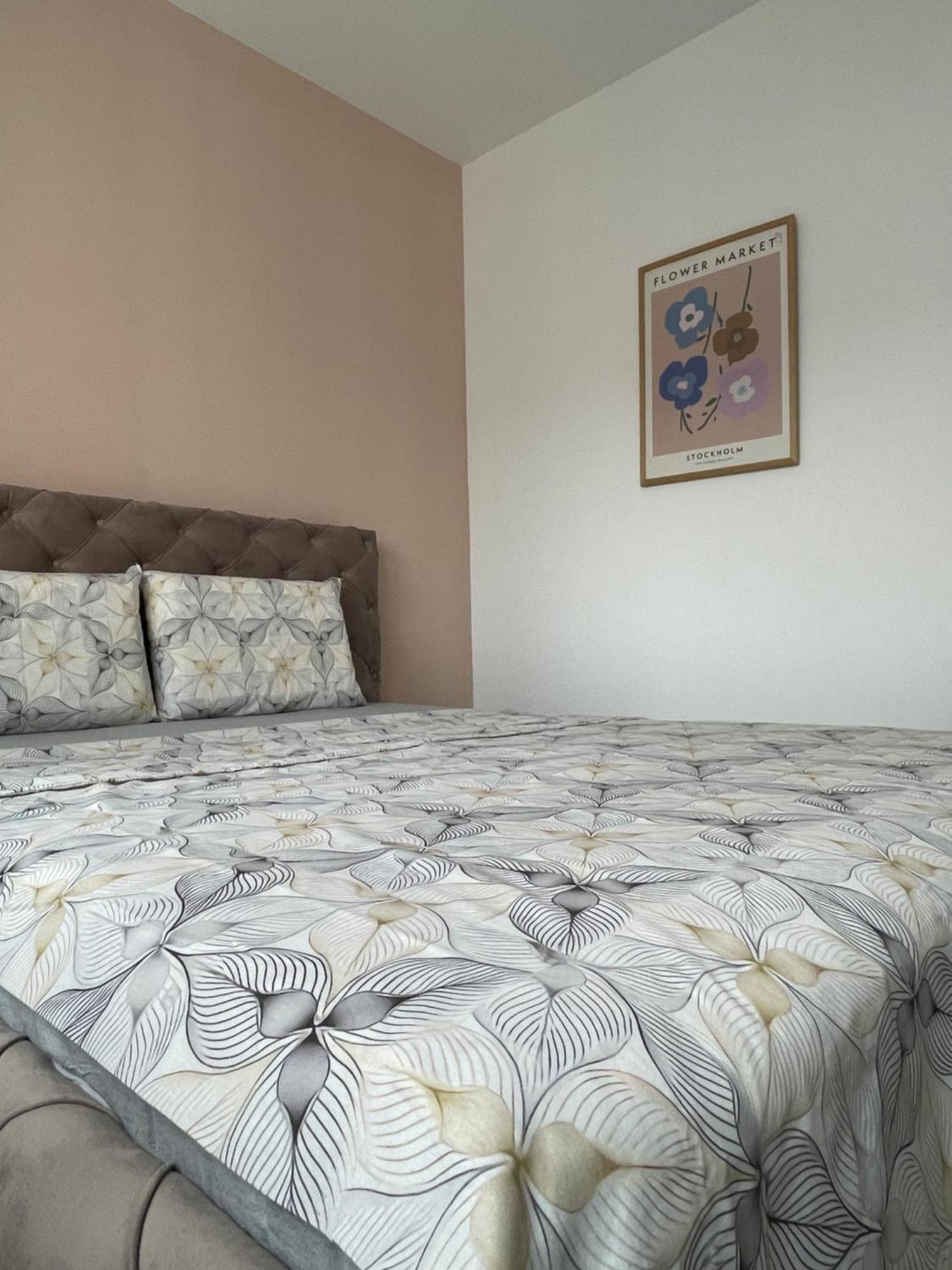 Entire Apartment - Near The Center Πρίστινα Εξωτερικό φωτογραφία